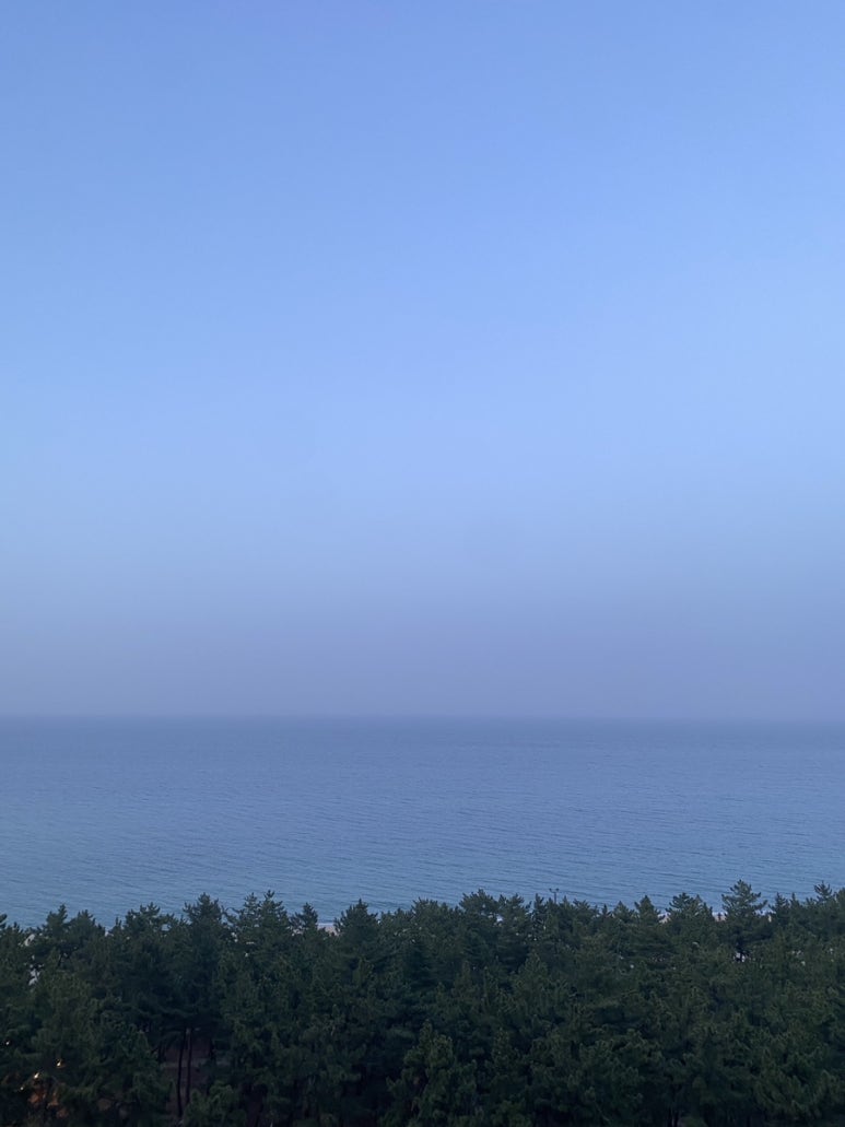 마젤오션 이미지