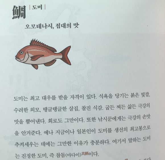 사카나 이미지