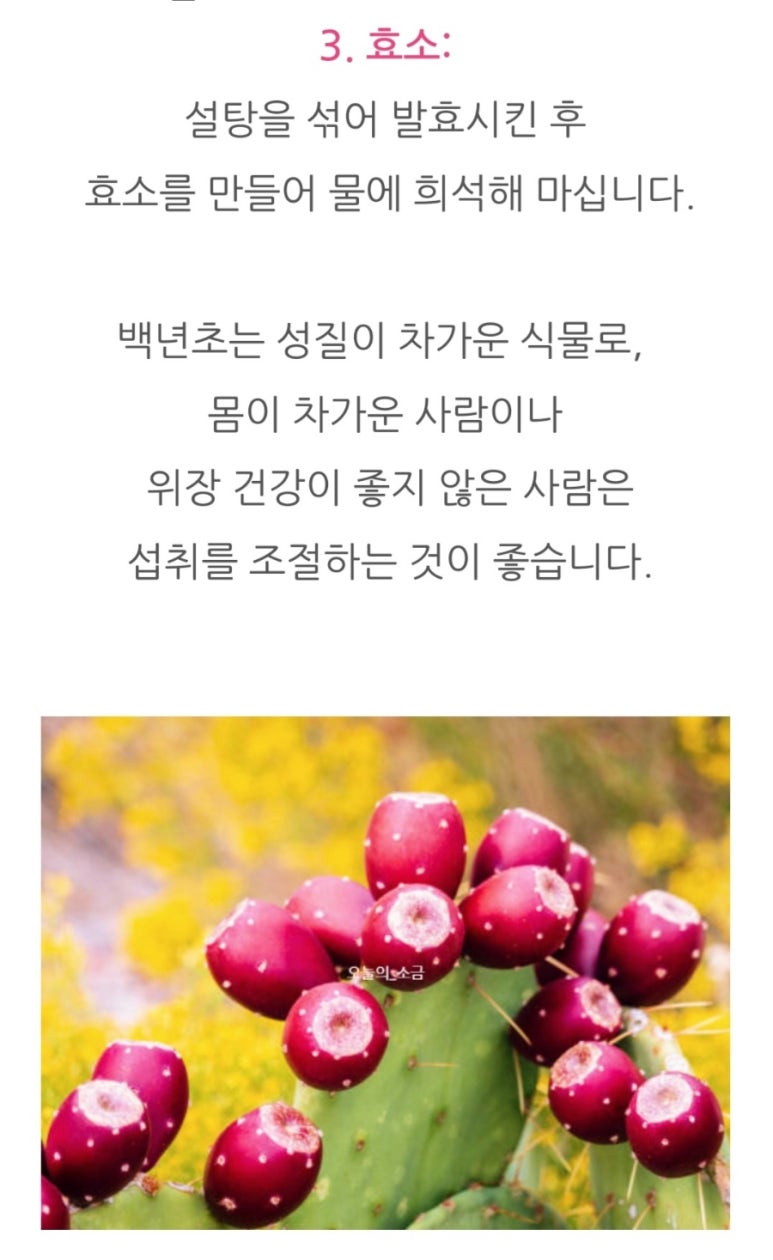 자연치유숲속농원 이미지