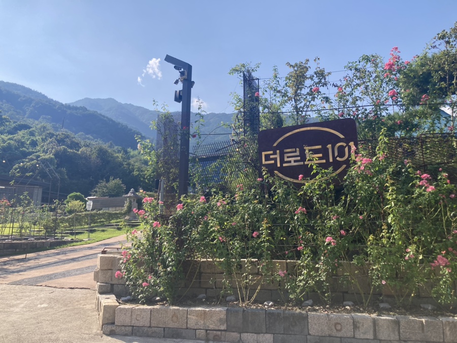 인더하동 이미지