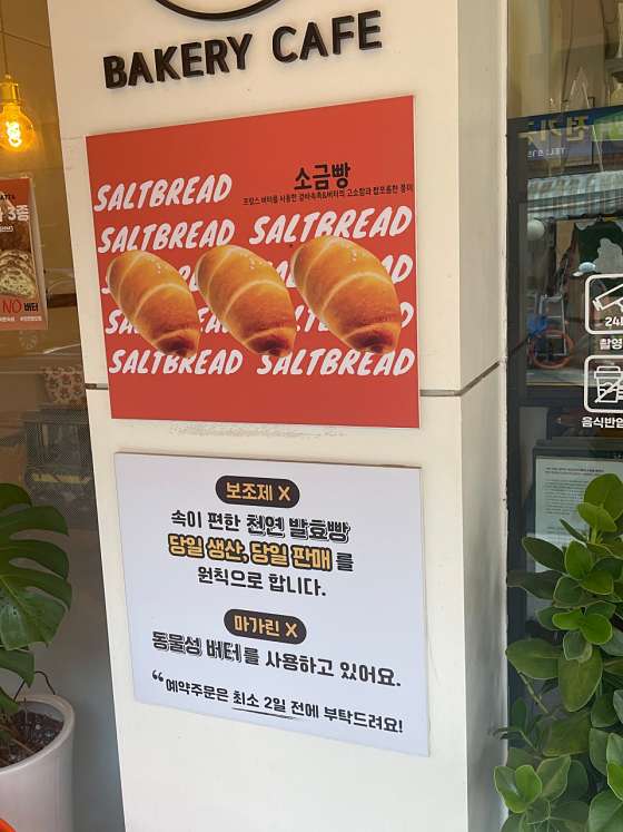 드음 이미지