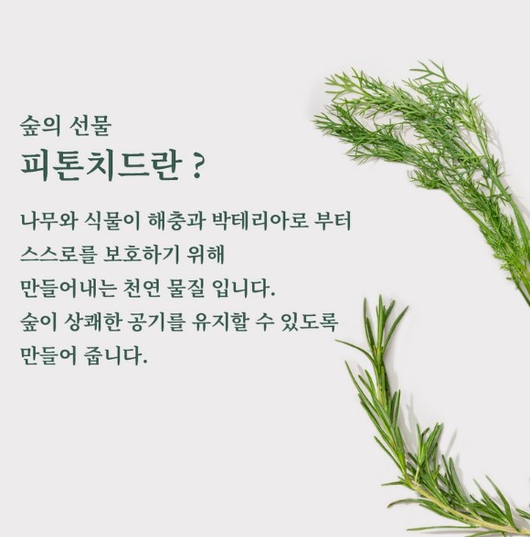 클린앤픽스 이미지
