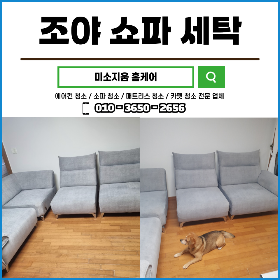 미소지움세탁 이미지