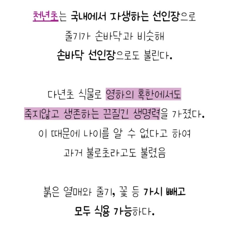 자연치유숲속농원 이미지