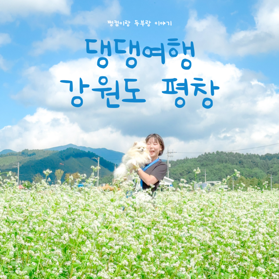 혜성패키지 이미지