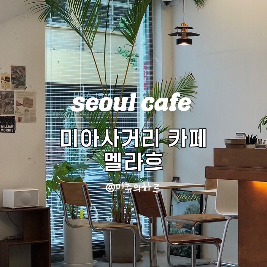 멜라흐 이미지