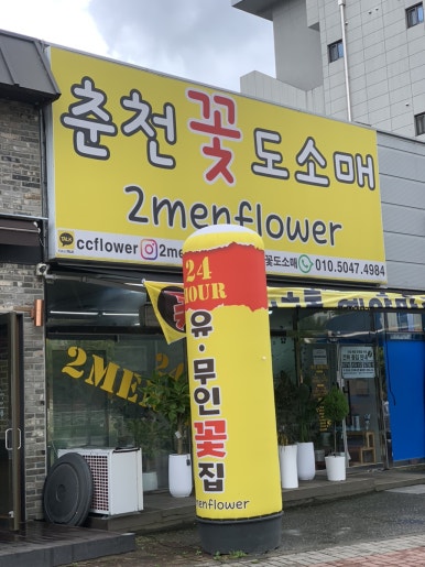 춘천365시스템 이미지
