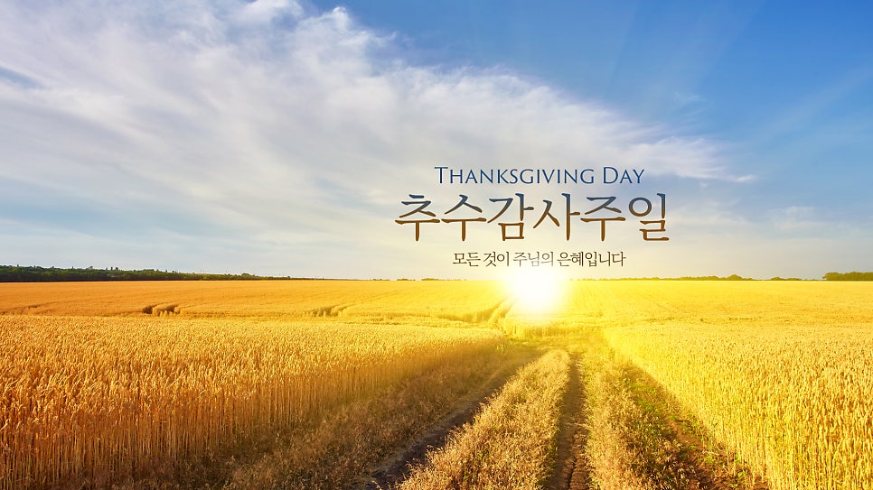 윤선디자인 이미지