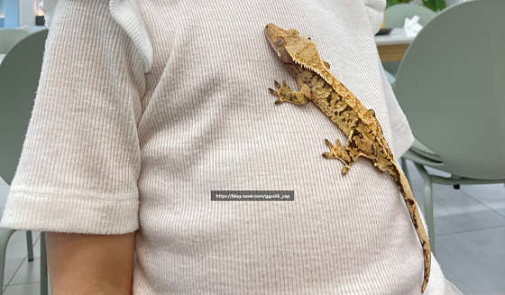 중랑프라자 이미지
