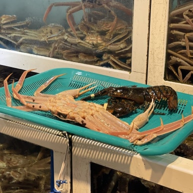 싱싱할인마트 이미지