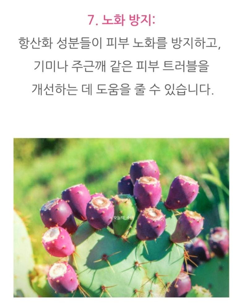 자연치유숲속농원 이미지