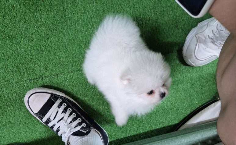 뜬다핑 이미지
