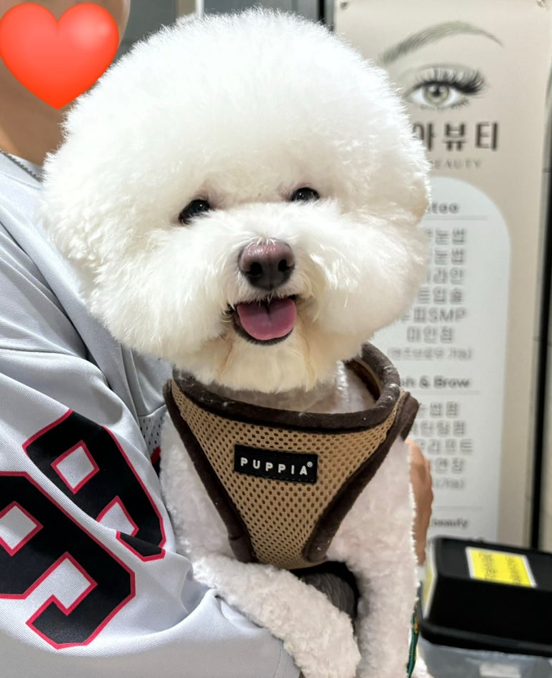 개르메스 이미지
