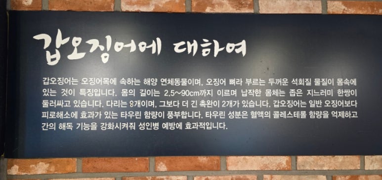 조가네갑오징어대구팔공산점 이미지