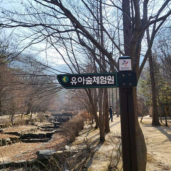 상소 유아숲체험원 이미지