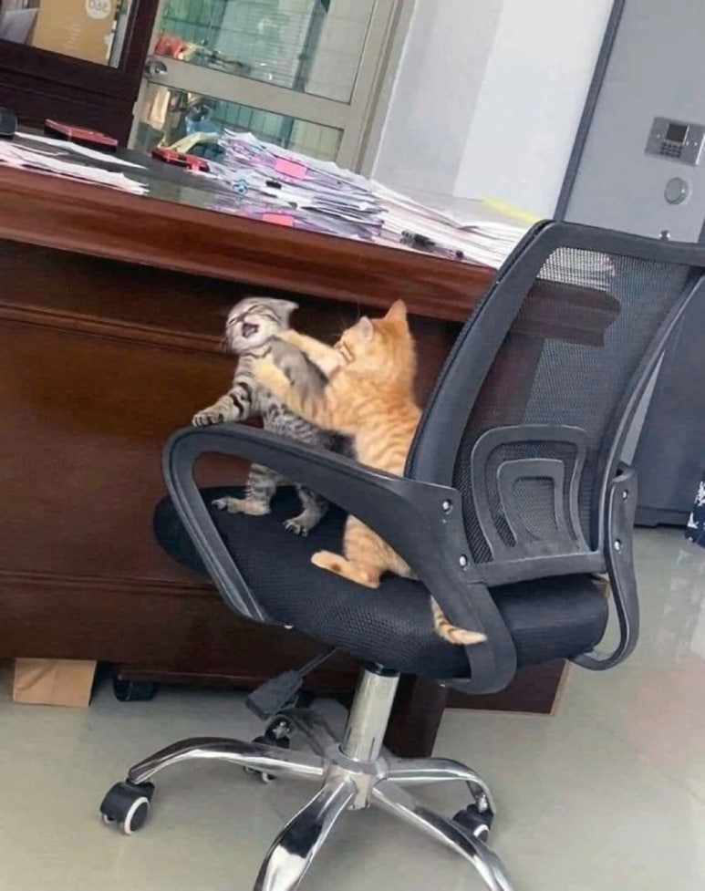 천사쇼핑 이미지