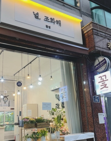 널;조화해 이미지