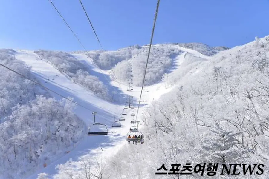 부영상사 이미지