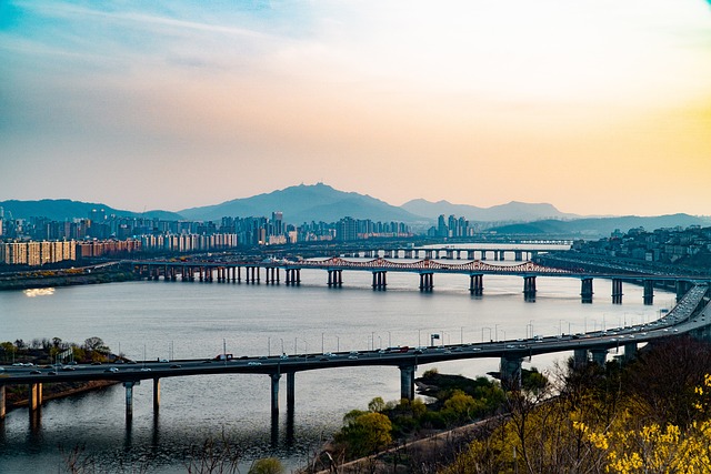 유진도요 이미지