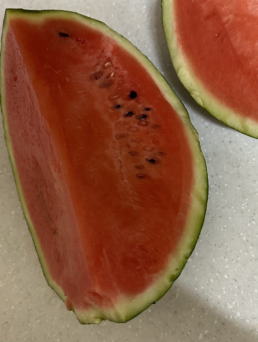 청도브리즈힐캠핑앤카라반 이미지