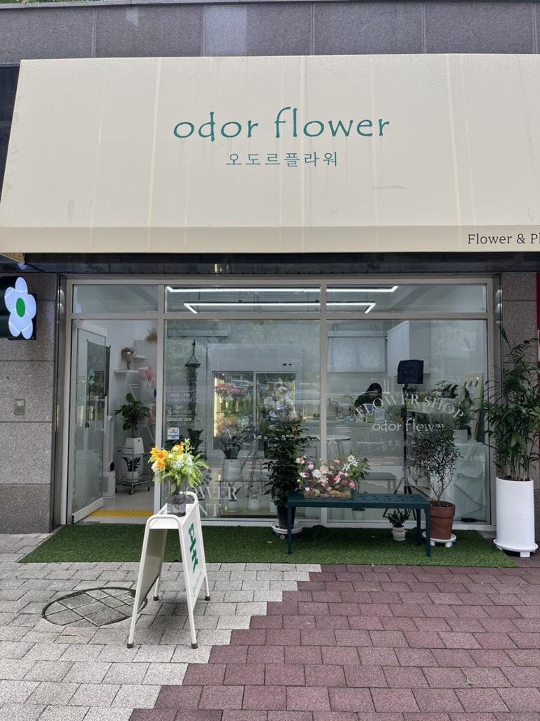 오도르플라워 이미지