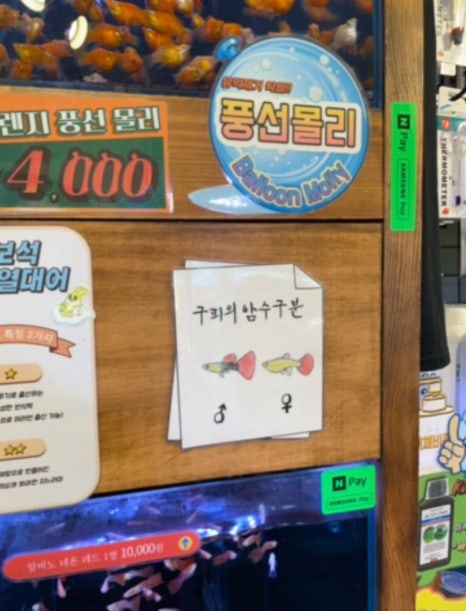 초원화원 이미지