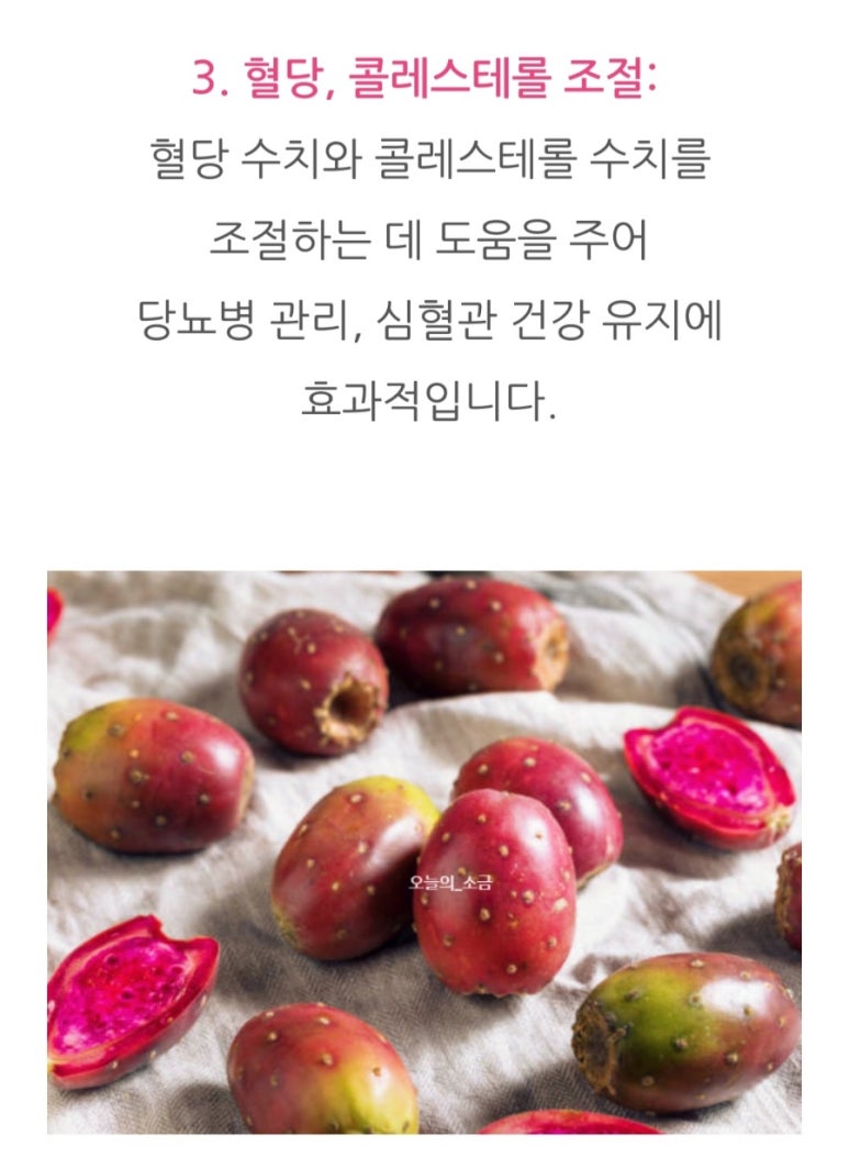 자연치유숲속농원 이미지
