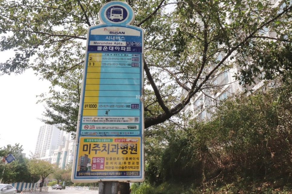 그린비치 이미지