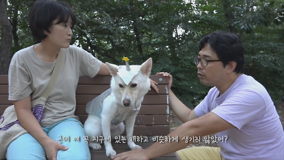 현대석유얼음 이미지