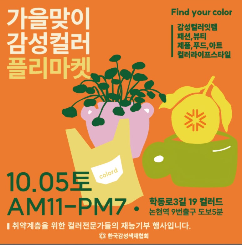 컬러플리 이미지