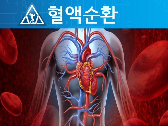 바이오포톤 이미지