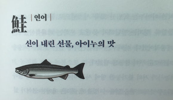 사카나 이미지