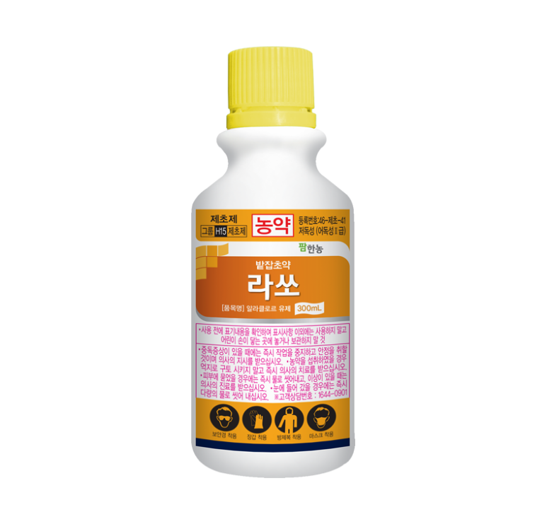 라쏘 이미지