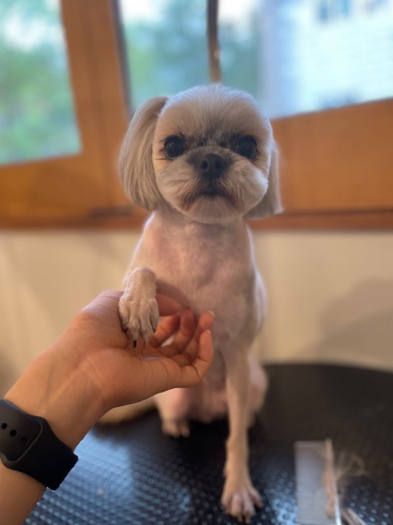 미용천재 이미지