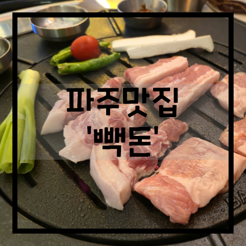 빽돈 이미지