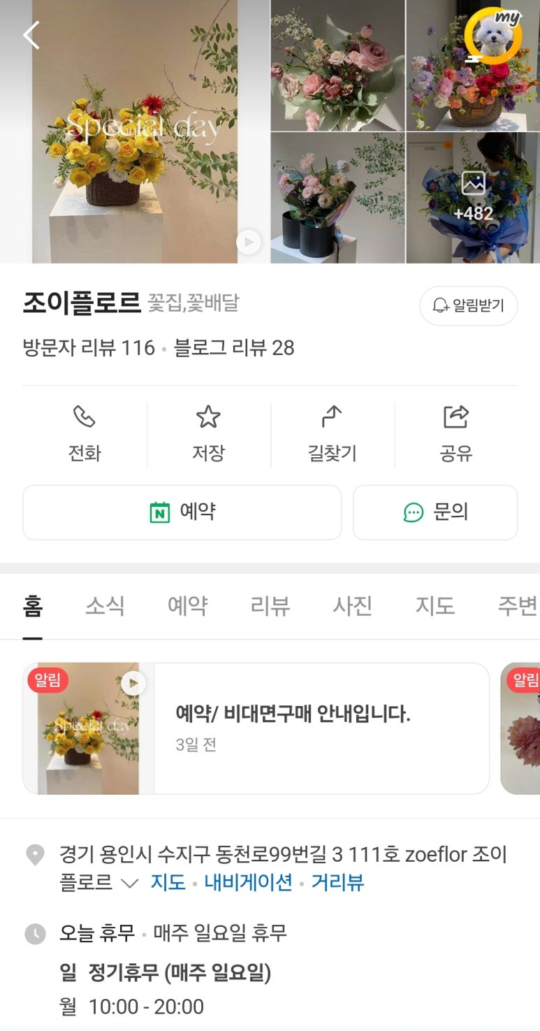 조이플로르 이미지