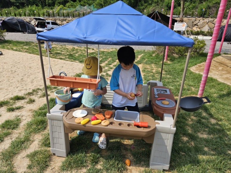 대암팜트리 이미지