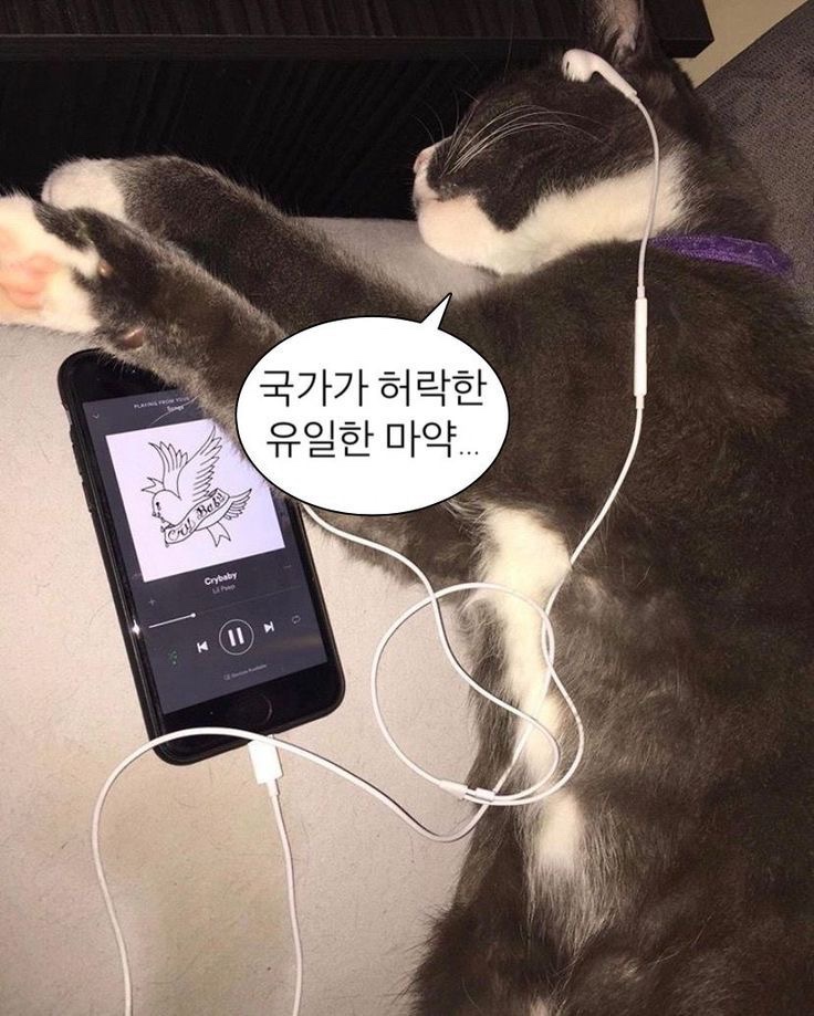 예플리 이미지