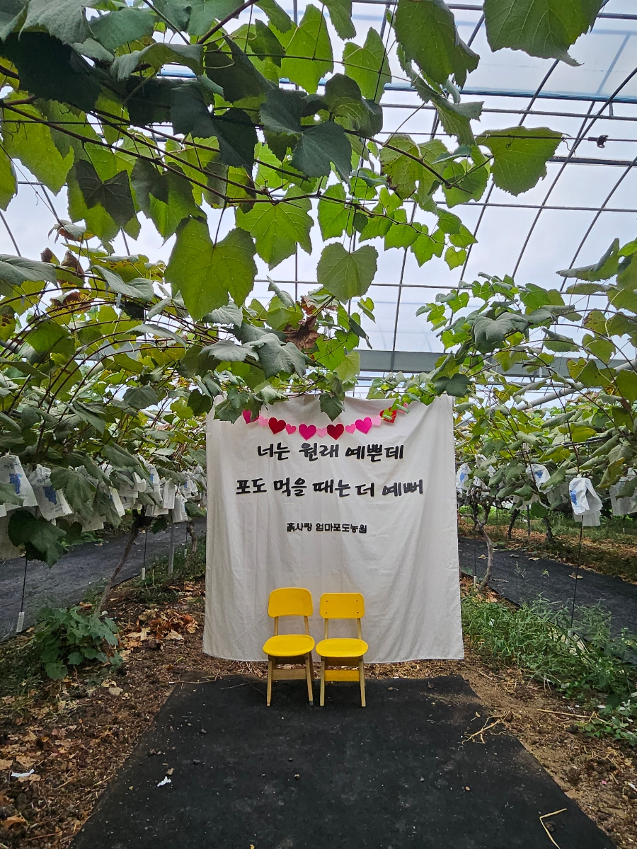 엄마사랑농원 이미지