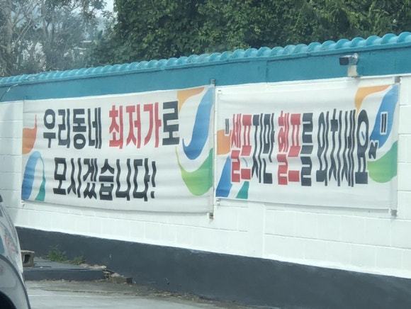 또또시 이미지