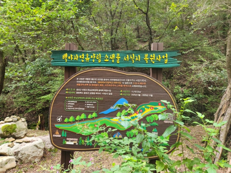 백야자연휴양림 이미지