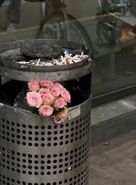 바닐라가든 이미지