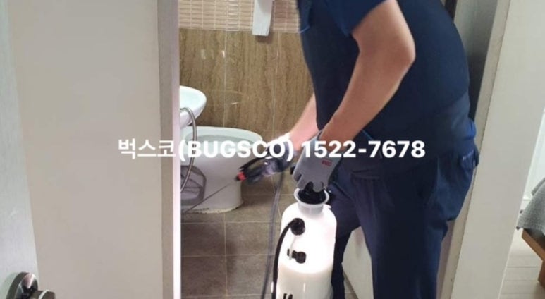 벅스코 이미지
