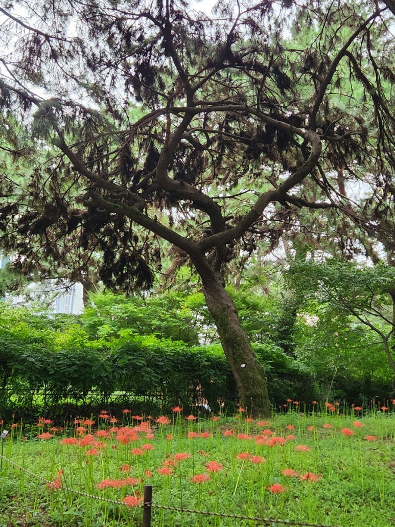 국일관식당 이미지