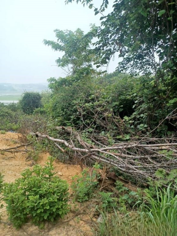 HK산림 이미지