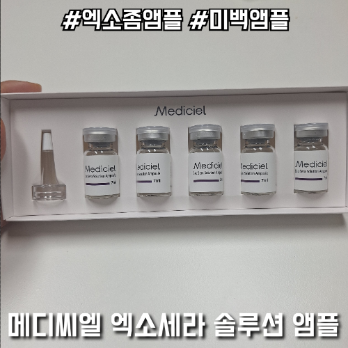 부여세라 이미지
