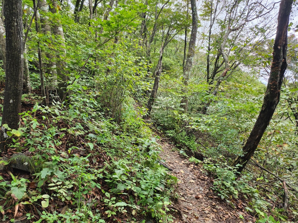 (주)명송 이미지