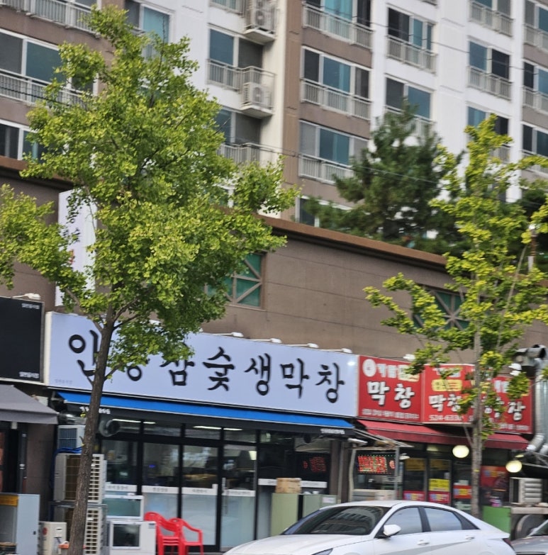 안동참숯생막창 이미지