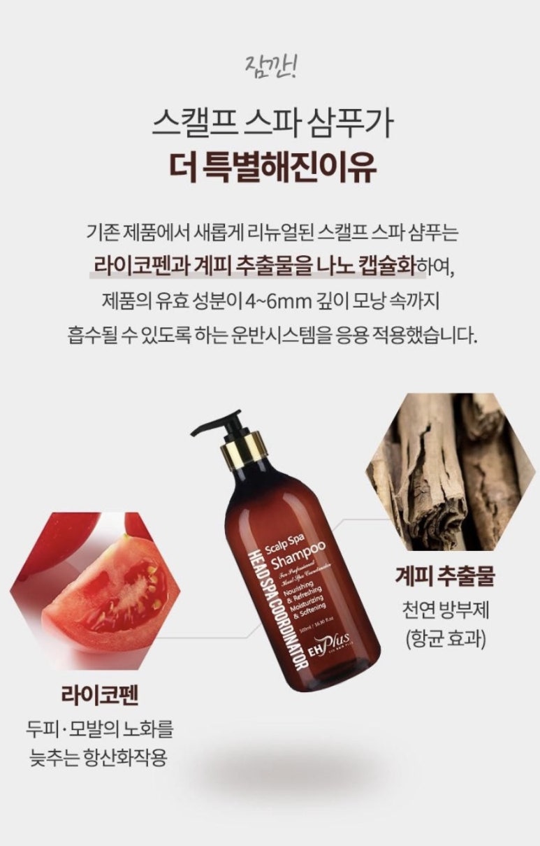 스캘프 이미지