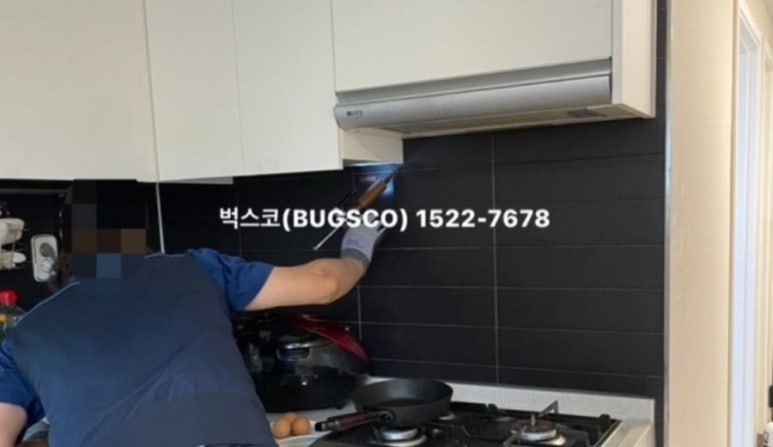 벅스코 이미지